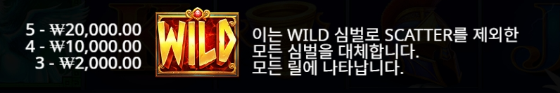 Wild Symbol