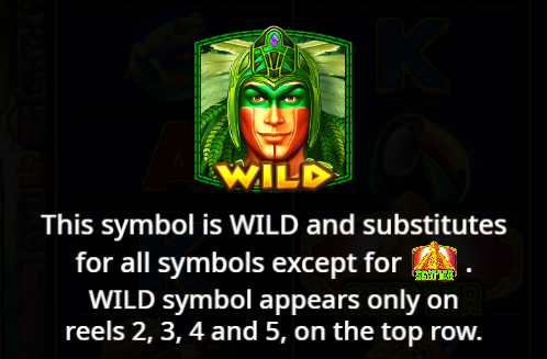 Wild Symbol