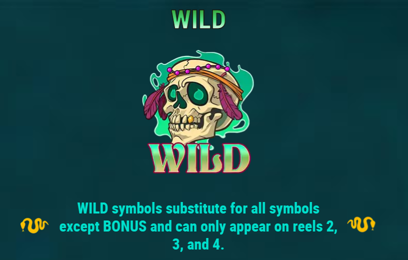 Wild Symbol
