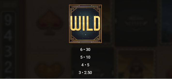 Wild Symbol