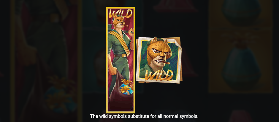 Wild Symbol