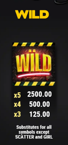 Wild Symbol