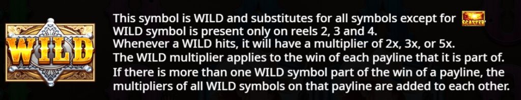 Wild Symbol Feature