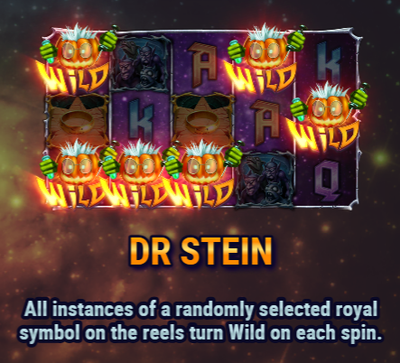 Dr. Stein Feature